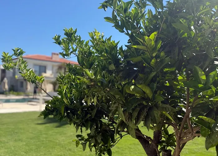 Mara Bahce Alacati Lägenhet Çeşme